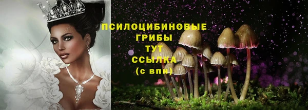 соль курить ск Абаза